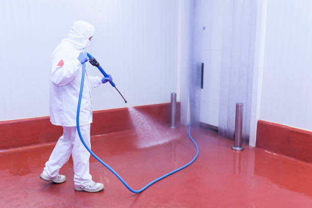 Best Paint Preparation  in Grayvle, IL