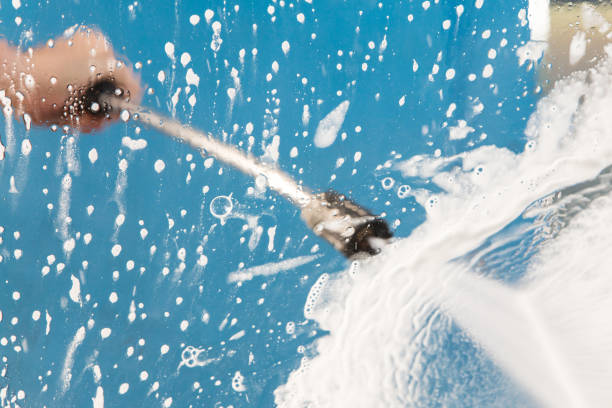 Best Fence Cleaning  in Grayvle, IL