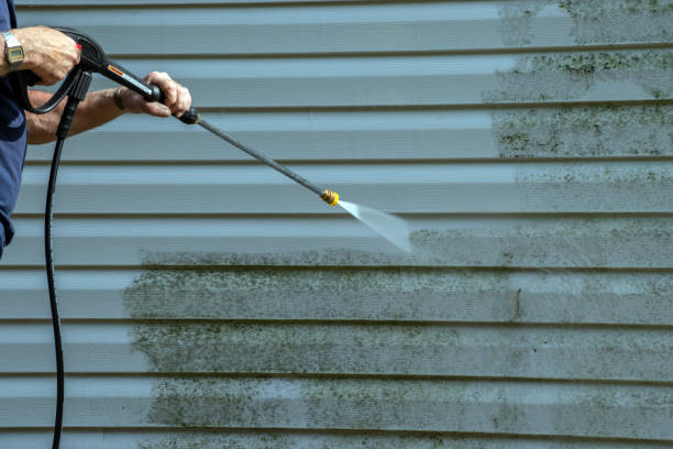 Best House Exterior Washing  in Grayvle, IL