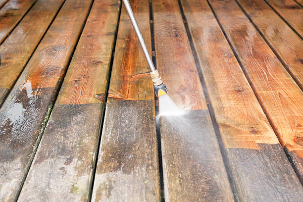 Best Pre-Holiday Cleaning  in Grayvle, IL